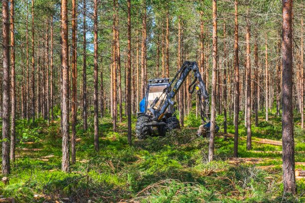 land grabbing in Nigeria