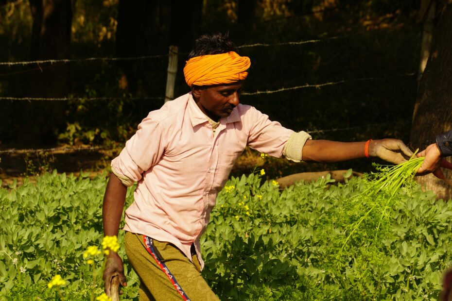 commercial farming